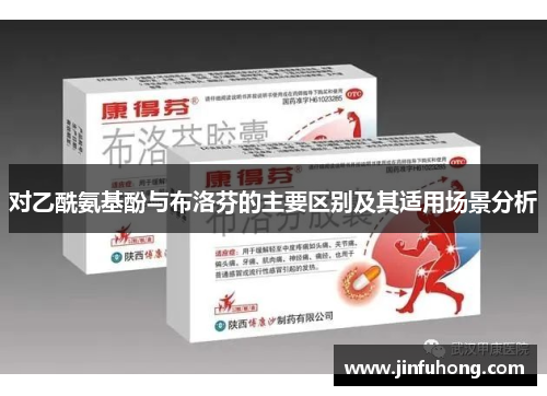 对乙酰氨基酚与布洛芬的主要区别及其适用场景分析